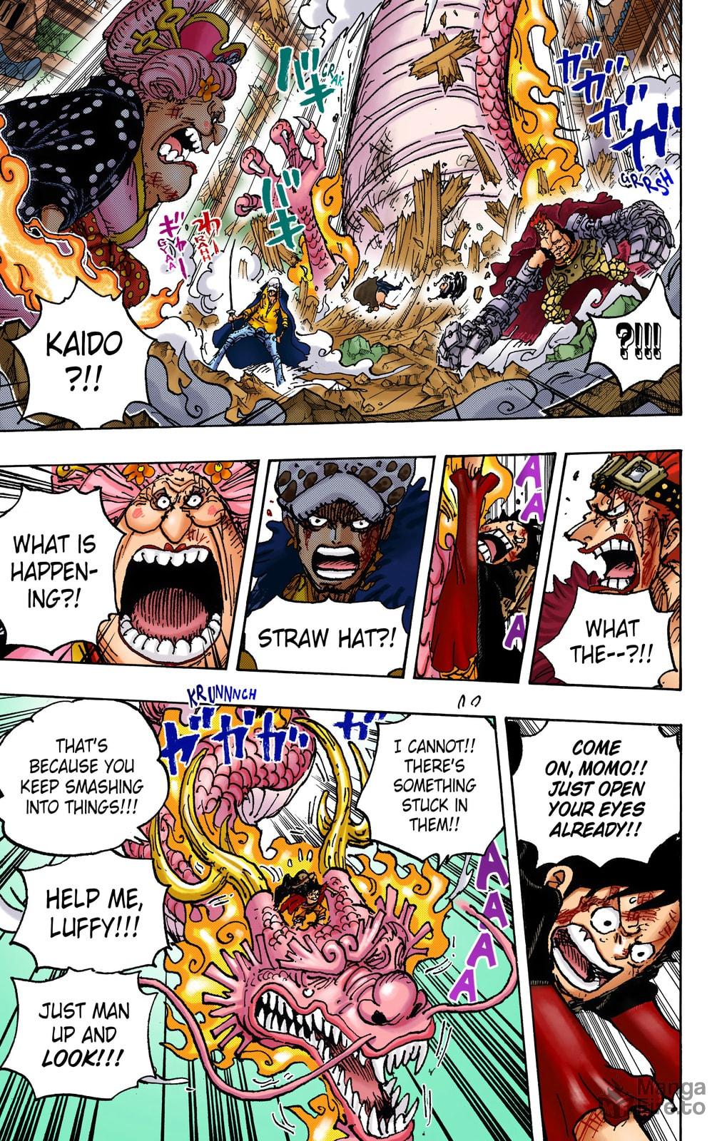 One Piece Digital Colored Chapter 1025 image 10